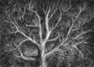 Tree Sketch (3)