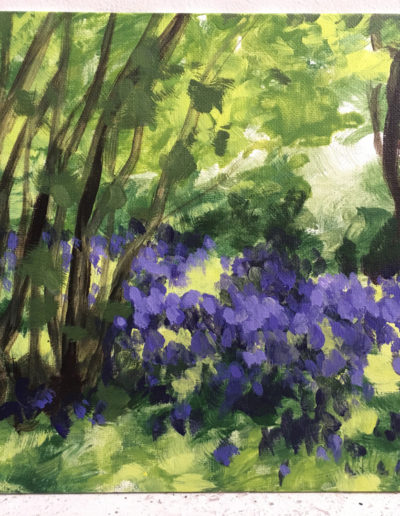 Grape Hyacinths