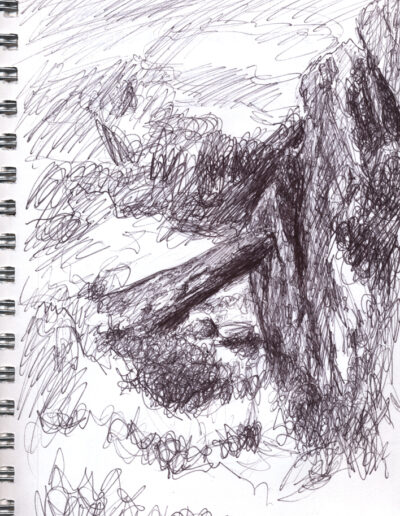 Hillside Study, 2019, ballpoint on paper, 9 x 6 inches