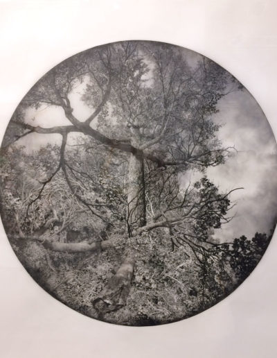 Rachael Pease, Vast Memory, 2014, Ink on frosted Mylar, Beaux-Arts Des Ameriques, Montreal, CA