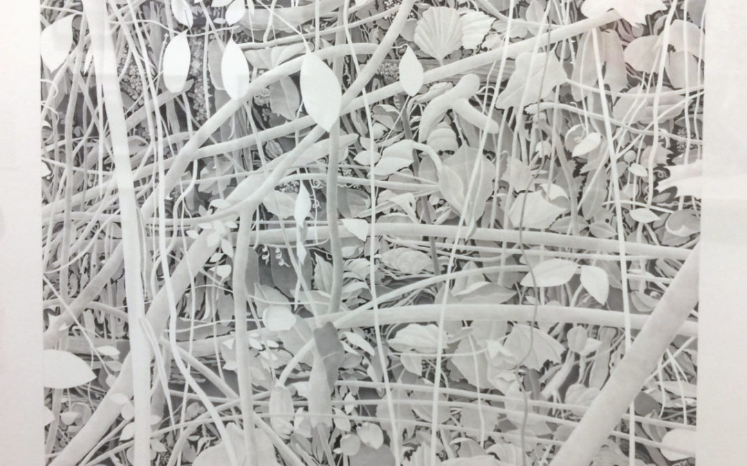 Bill Richards, Hanging Leaves, Woven Branches, 2015, graphite on paper, Nancy Hoffman Gallery, New York, NY