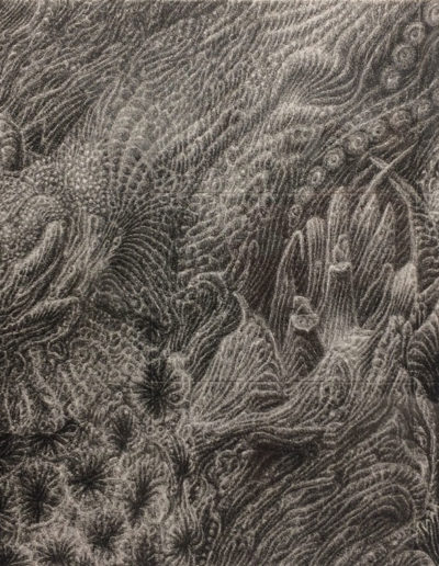 Xiaowei Chen, From east sea to north sea III, 2016, Ink on paper, AroundSpace Gallery, Shanghai, China