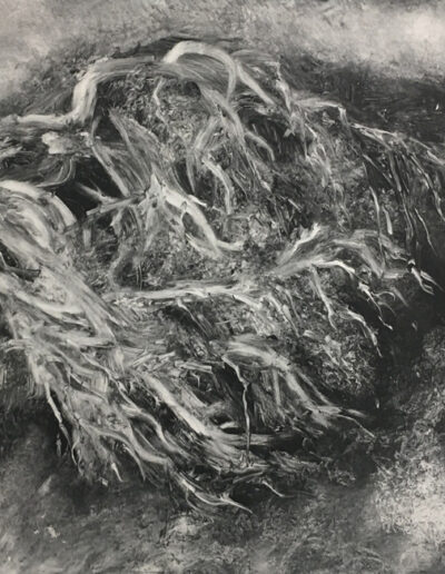 White Sage, 2021, monotype on paper, 8x10 inches